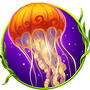 Jellyfish Jellyfish